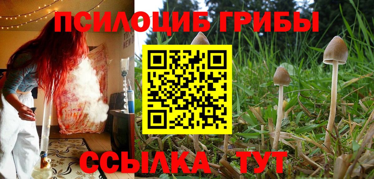 Узловая  Псилоцибиновые грибы Psilocybine cubensis  Вход с VPN 